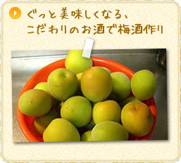 ぐっと美味しくなる、こだわりのお酒で梅酒作り