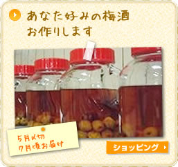 あなた好みの梅酒お作りします -5月〆切 7月頃お届け-