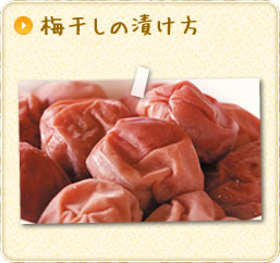 梅干しの漬け方