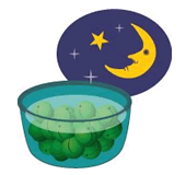 梅酒の作り方 1(準備)