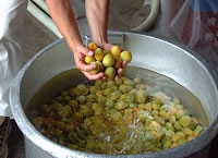 富久錦・純米原酒でつけた梅酒ができるまで3